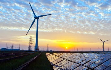 Renewable Sector
