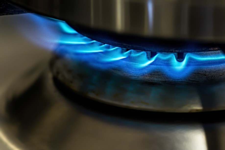 Only 23% Of Rural Households Use LPG Exclusively For Cooking: CEEW